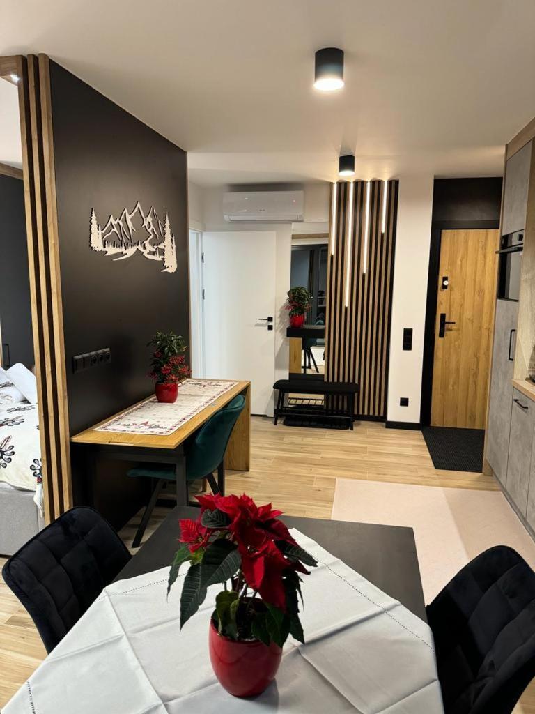 שצ'צ'ירק Narciarska6A Apartamenty מראה חיצוני תמונה
